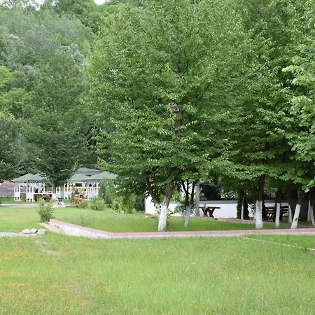 Pensiunea Arido Guest house 4*