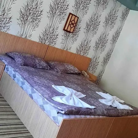 Pensiunea Arido 4*