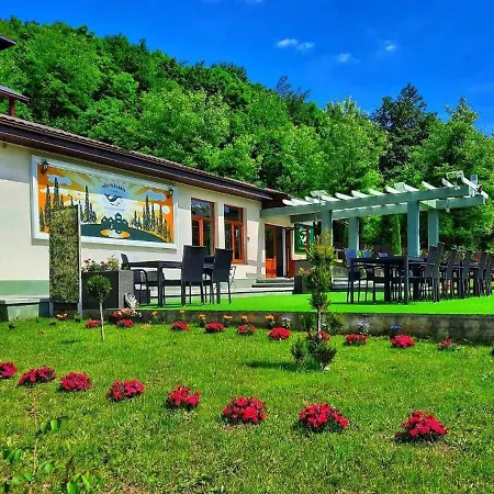 Pensiunea Arido Guest house 4*
