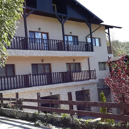 Pensiunea Arido 4*